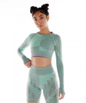 Gymshark Wtflex Cyborg Seamless Top Langarm Shirts Damen Blau Rosa Blau | JPC-706194
