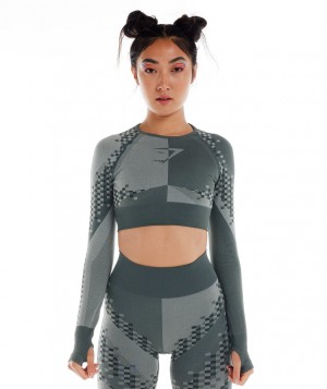 Gymshark Wtflex Cyborg Seamless Top Langarm Shirts Damen Grau Schwarz Hellgrau | CDF-854179